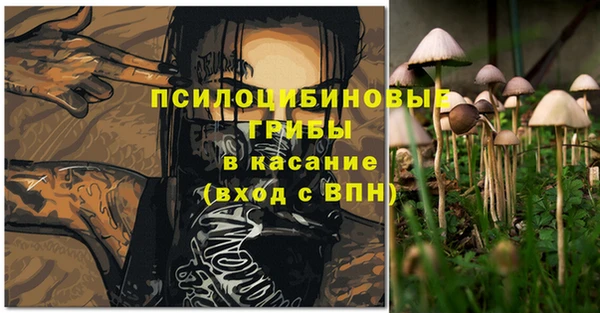 твердый Пестово
