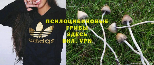 каннабис Алексеевка