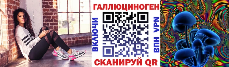 наркотики  Осташков  Галлюциногенные грибы мицелий 